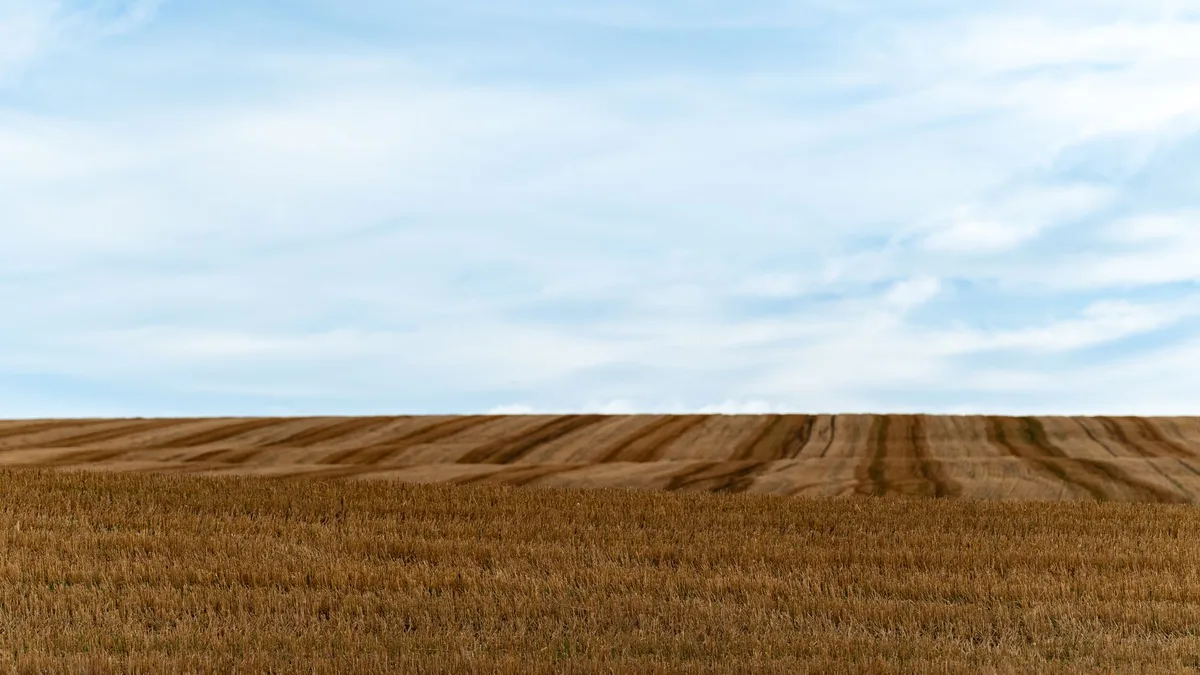 Campos agrícolas extensos con línea de demarcación territorial bajo cielo abierto