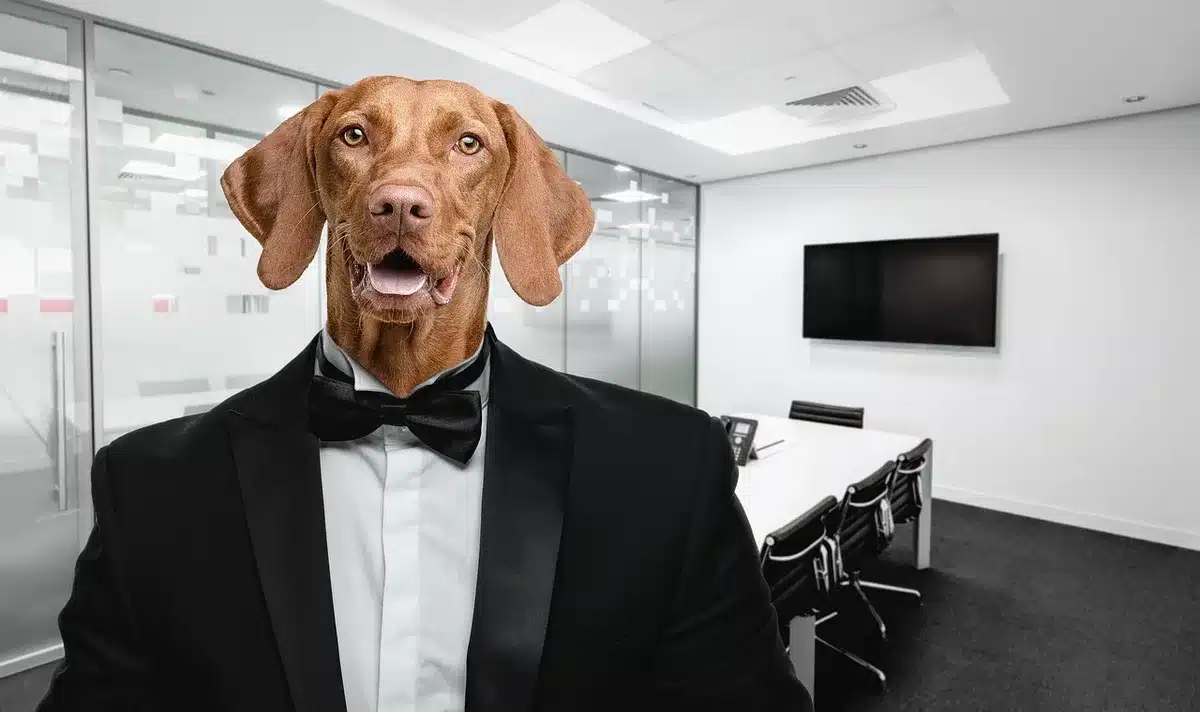 Mesa de reunión técnica vacía con una pizarra táctica