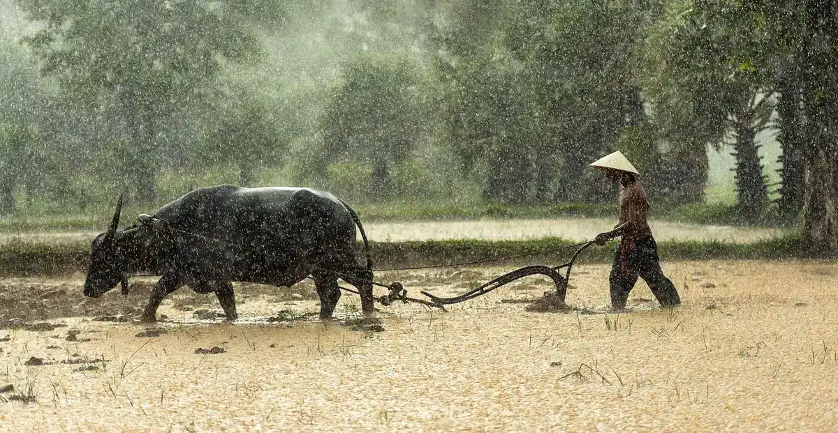 Campos agrícolas argentinos con cerca y construcciones rurales en el horizonte