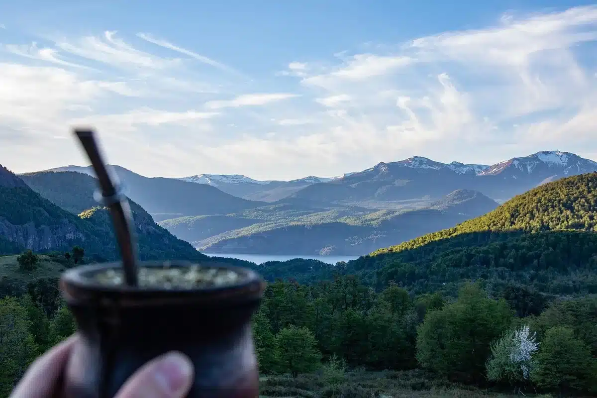 Trabajadores en campos de yerba mate del siglo XX, imagen histórica del nordeste argentino