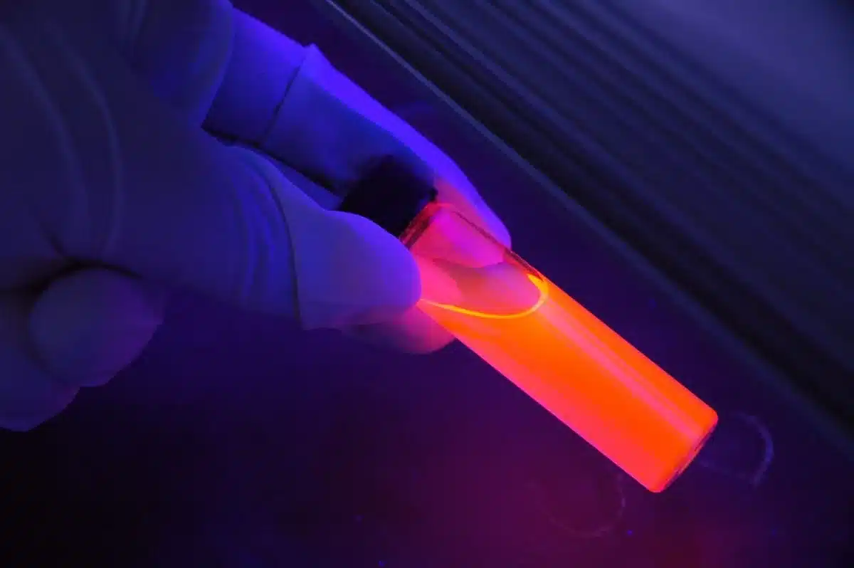 Manos sobre informes forenses y radiografías sobre una mesa