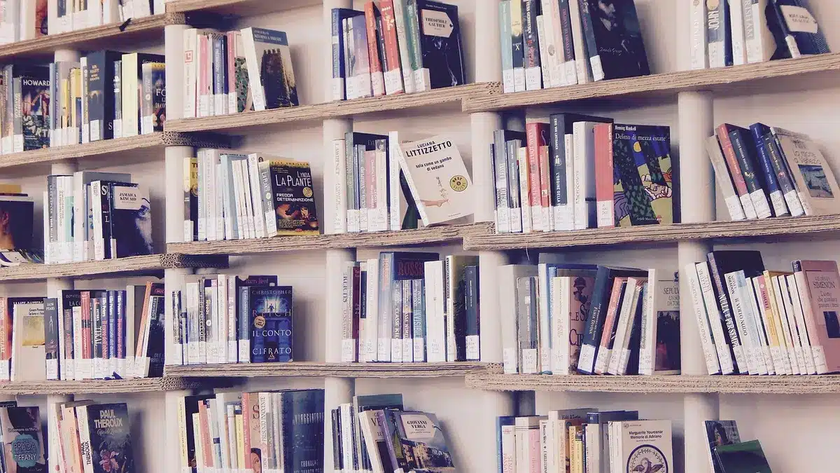 Interior de librería pequeña con estanterías y mostrador