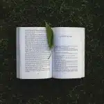 Escenario de ceremonia literaria con libro abierto y trofeo de premio bajo luz cálida