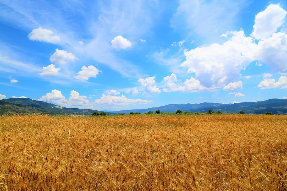 Movilización ciudadana en entorno rural pidiendo protección de la tierra