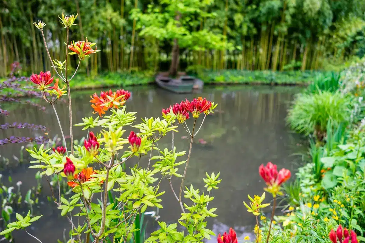 Jardín de Giverny con flores e inspiración impresionista
